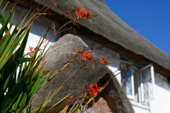 cornwall-2019-10
