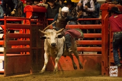 dallas-11
