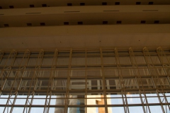 dallas-14
