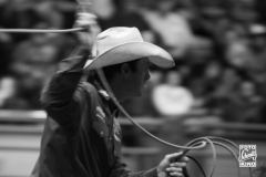 dallas-7
