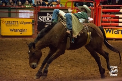 dallas-8