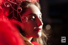 lvshowgirls-21