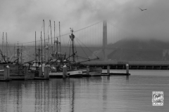 san-francisco-2014-4275