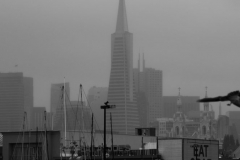 san-francisco-2014-4299
