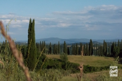 toskana-2014-0611