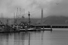 02-DSC_4275