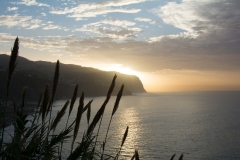 05-Madeira_2014-4952